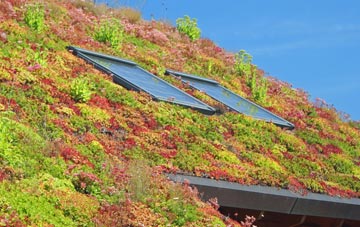 Milnthorpe living roof systems